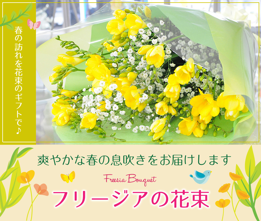 フリージアの花束 3lサイズ 春の花贈り エーデルワイス 花の贈り物 フラワーギフト通販 花宅配 水戸市 フリージアの花束 3lサイズ 春の花贈り エーデルワイス 花の贈り物 フラワーギフト通販 花宅配 水戸市