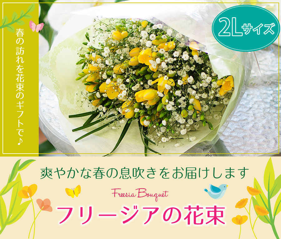 フリージアの花束 2lサイズ 春の花贈り エーデルワイス 花の贈り物 フラワーギフト通販 花宅配 水戸市