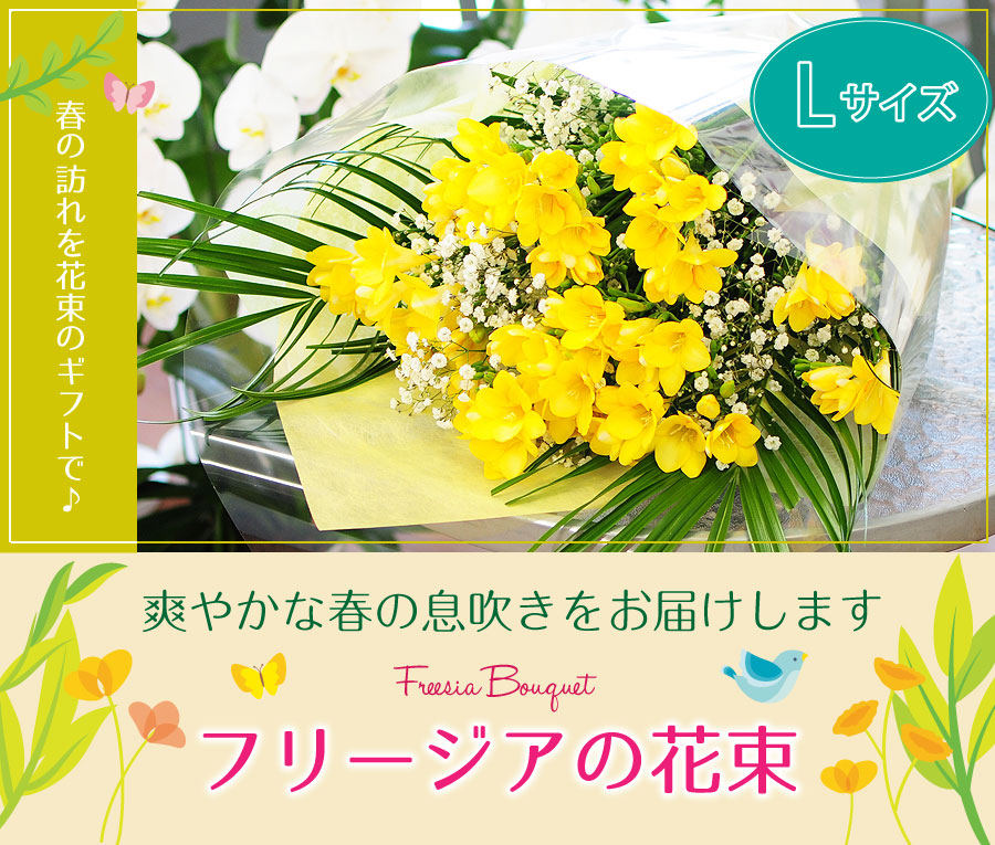 フリージアの花束 Lサイズ 春の花贈り エーデルワイス 花の贈り物 フラワーギフト通販 花宅配 水戸市