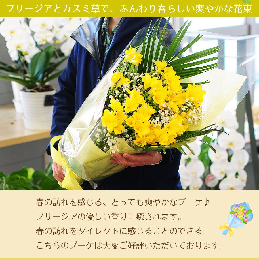 フリージアの花束 Lサイズ 春の花贈り エーデルワイス 花の贈り物 フラワーギフト通販 花宅配 水戸市