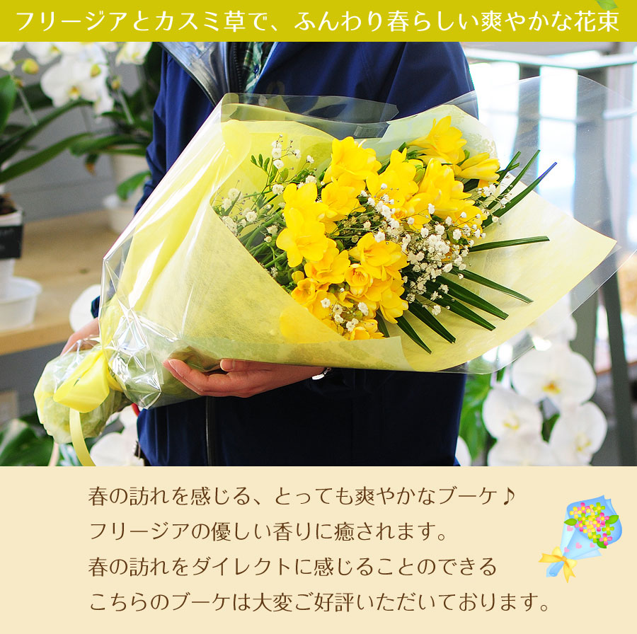 フリージアの花束 Mサイズ 春の花 ホワイトデー プレゼント 春の花贈り エーデルワイス 花の贈り物 フラワーギフト通販 花宅配 水戸市 フリージアの花束 Mサイズ 春の花 ホワイトデー プレゼント 春の花贈り エーデルワイス 花の贈り物 フラワーギフト通販 花宅配 水戸市