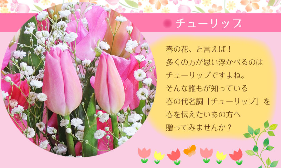 春の花束 Lサイズ チューリップとスイートピーの花束 春の花贈り チューリップやフリージアなどの花束 アレンジメント エーデルワイス 花の贈り物 フラワーギフト通販 花宅配 水戸市