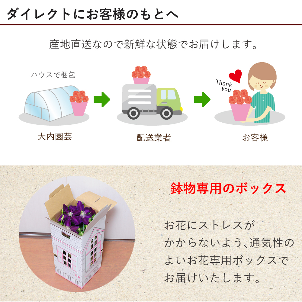 �Y�n����