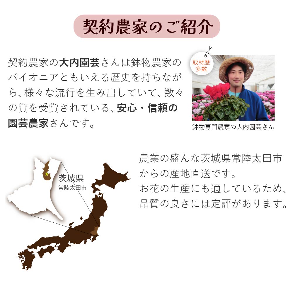 �J�[�l�[�V����6����