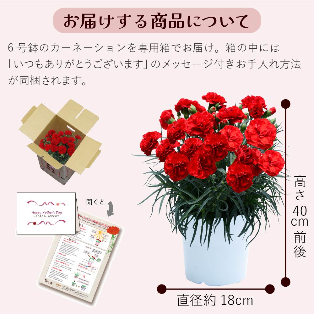 �J�[�l�[�V����6����