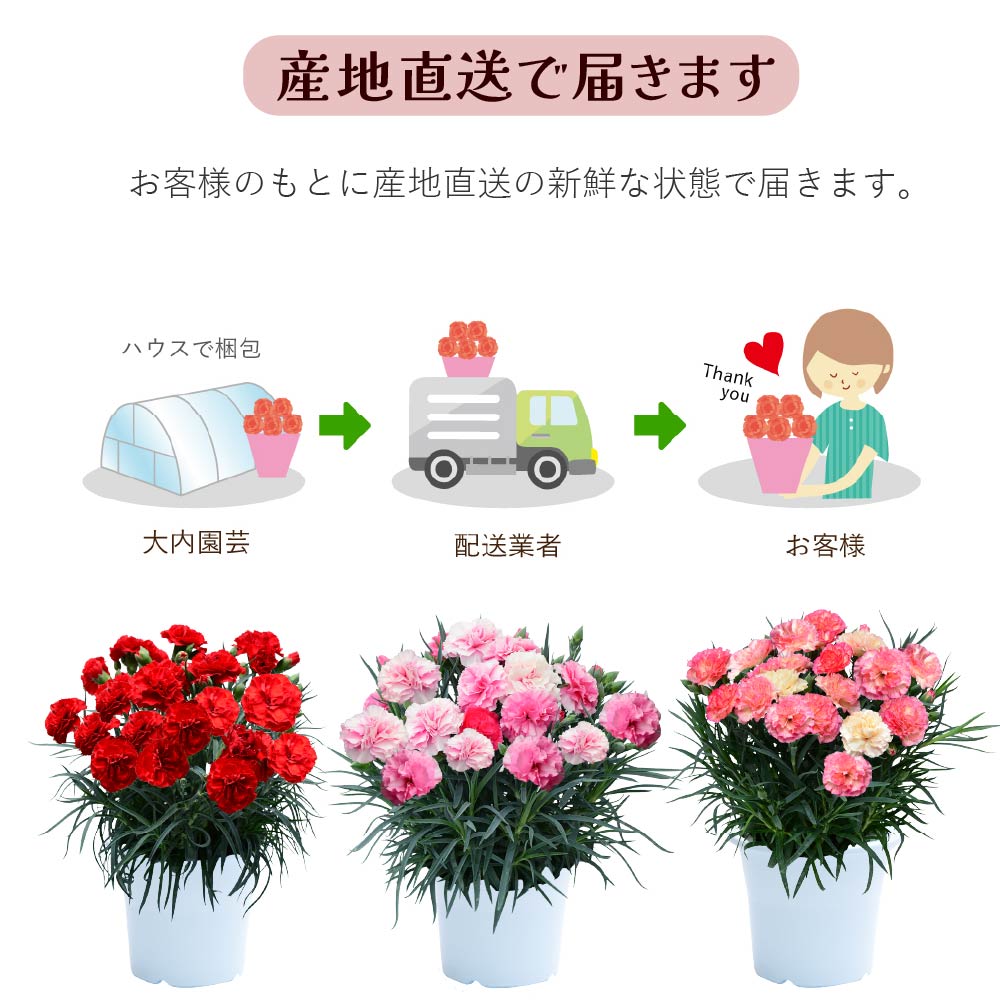 �J�[�l�[�V����6����