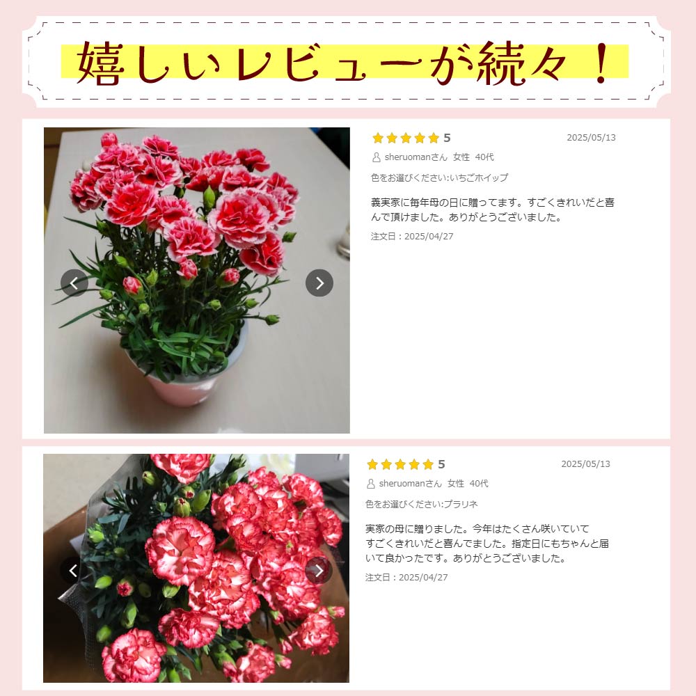 �J�[�l�[�V����6����