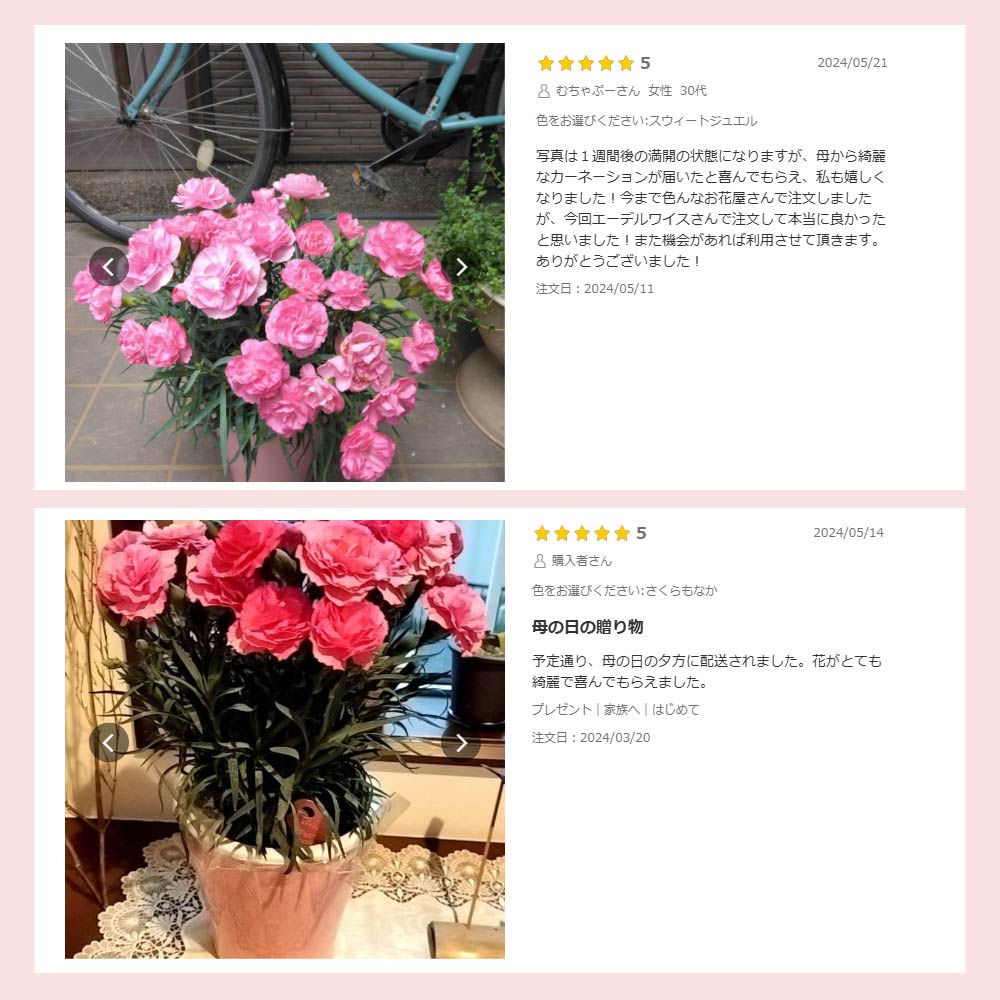 �J�[�l�[�V����6����