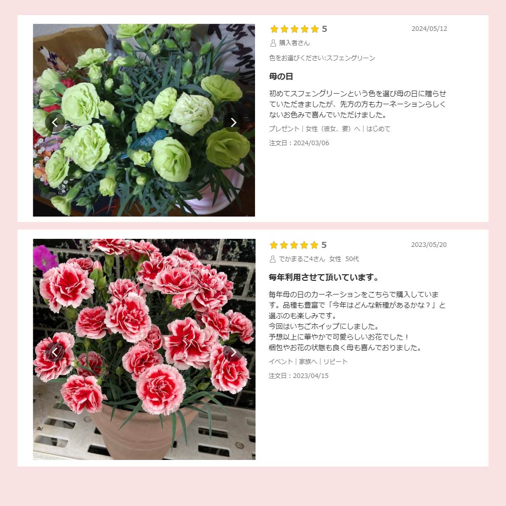 �J�[�l�[�V����6����