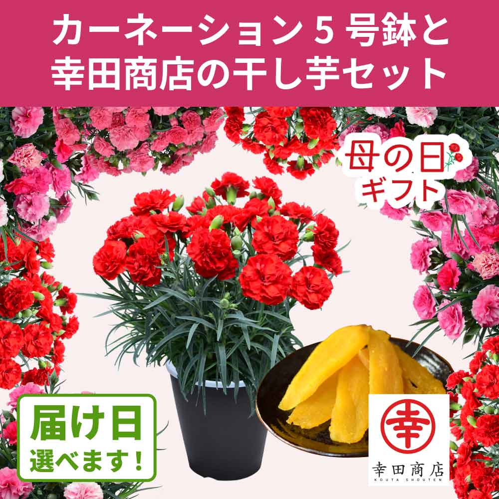 �X�C�[�c�Z�b�g