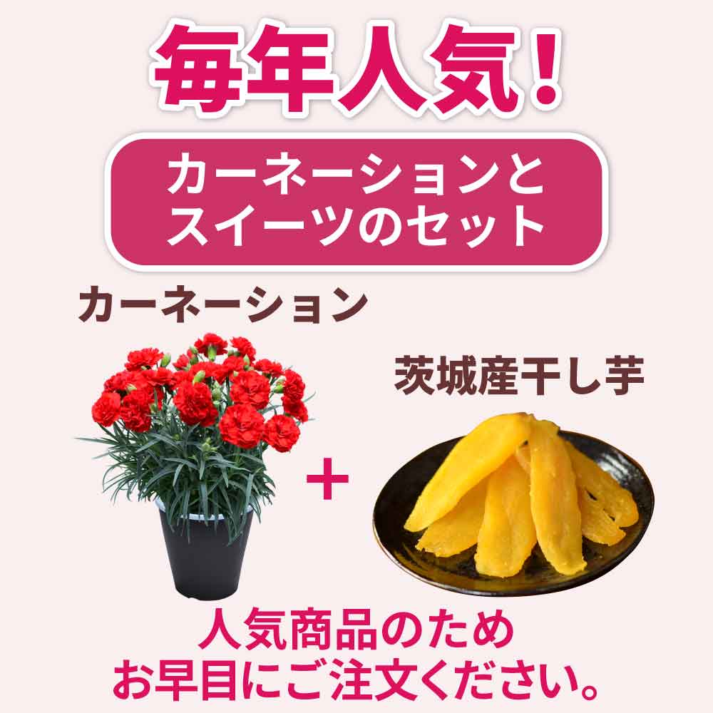 ���N�l�C