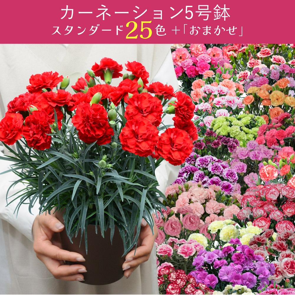 ��̓��J�[�l�[�V�����X�^���_�[�h25�F