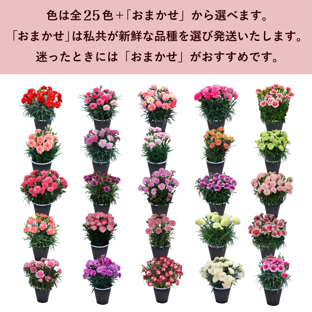 ��̓��J�[�l�[�V�����X�^���_�[�h25�F