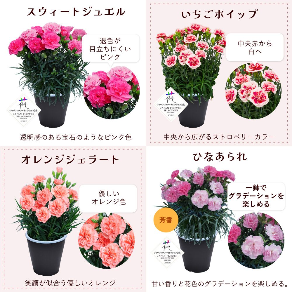 ��̓��J�[�l�[�V�����X�^���_�[�h25�F