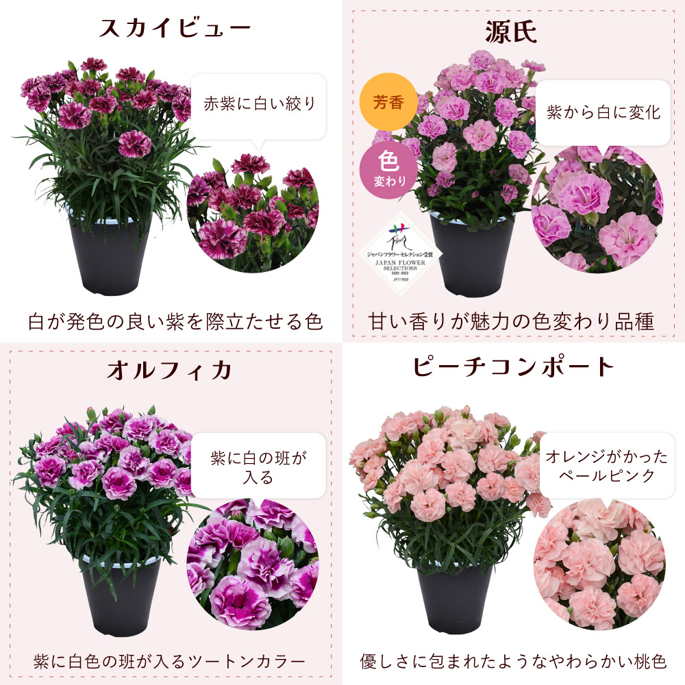 ��̓��J�[�l�[�V�����X�^���_�[�h25�F