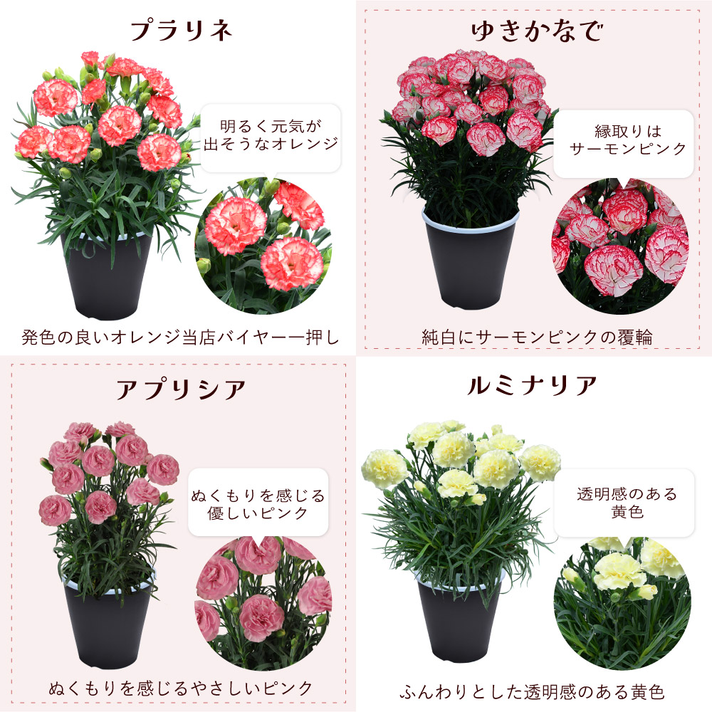 ��̓��J�[�l�[�V�����X�^���_�[�h25�F