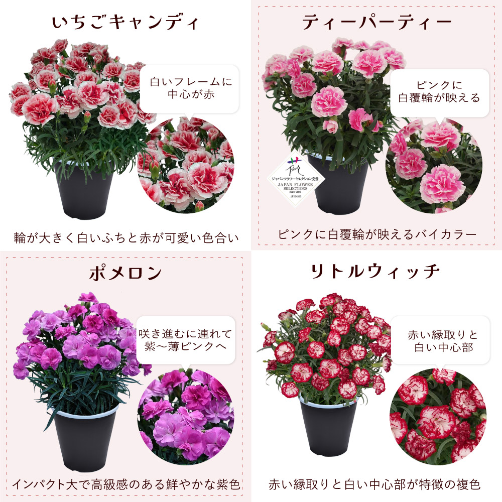 ��̓��J�[�l�[�V�����X�^���_�[�h25�F