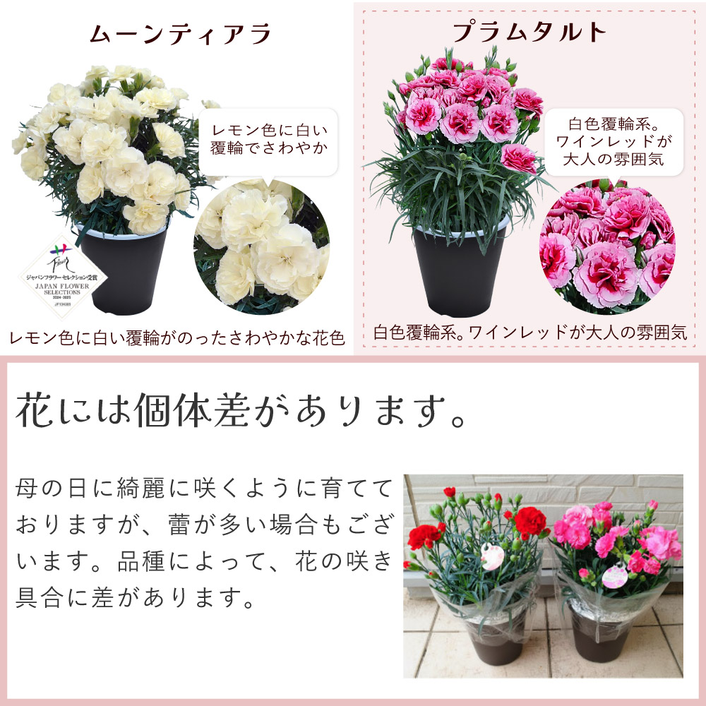 ��̓��J�[�l�[�V�����X�^���_�[�h25�F