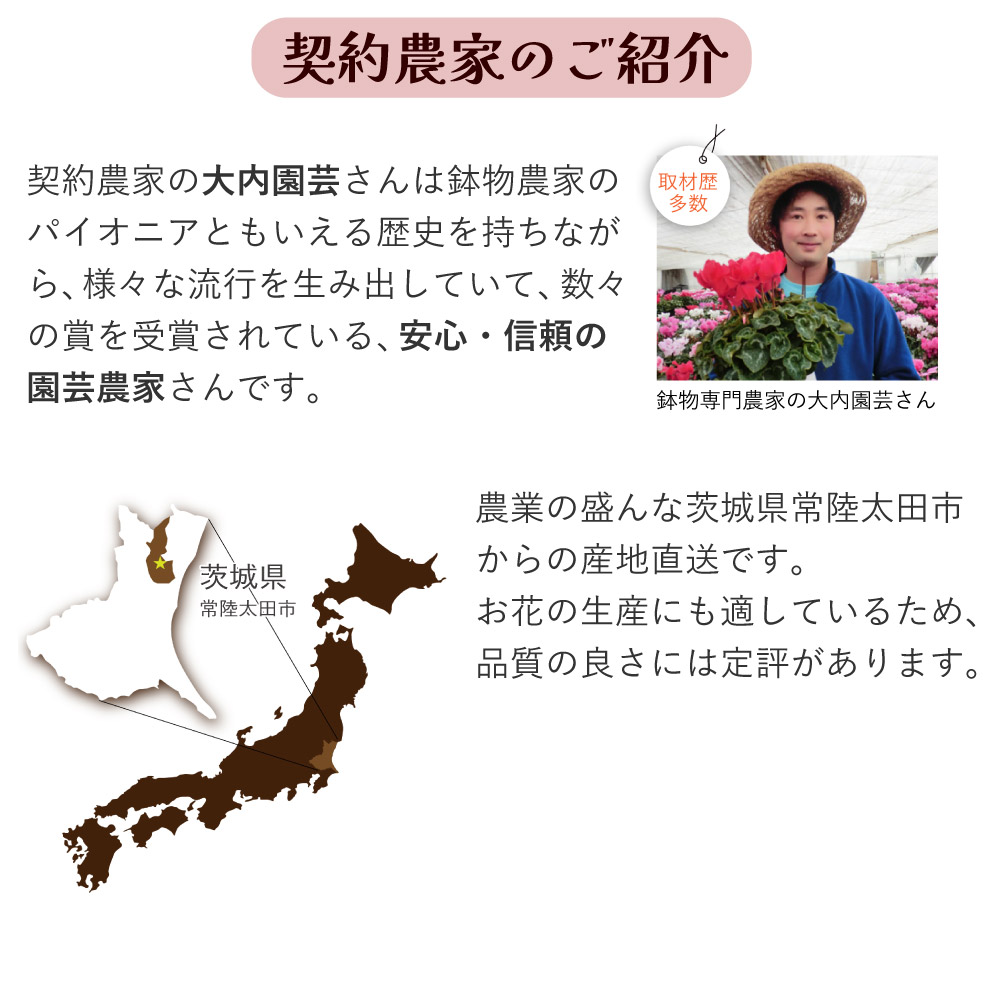 ��̓��J�[�l�[�V�����X�^���_�[�h25�F