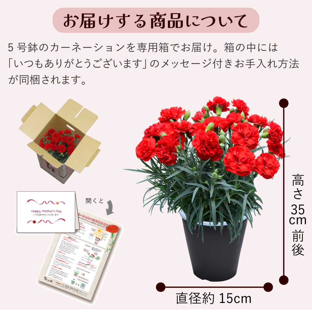 ��̓��J�[�l�[�V�����X�^���_�[�h25�F