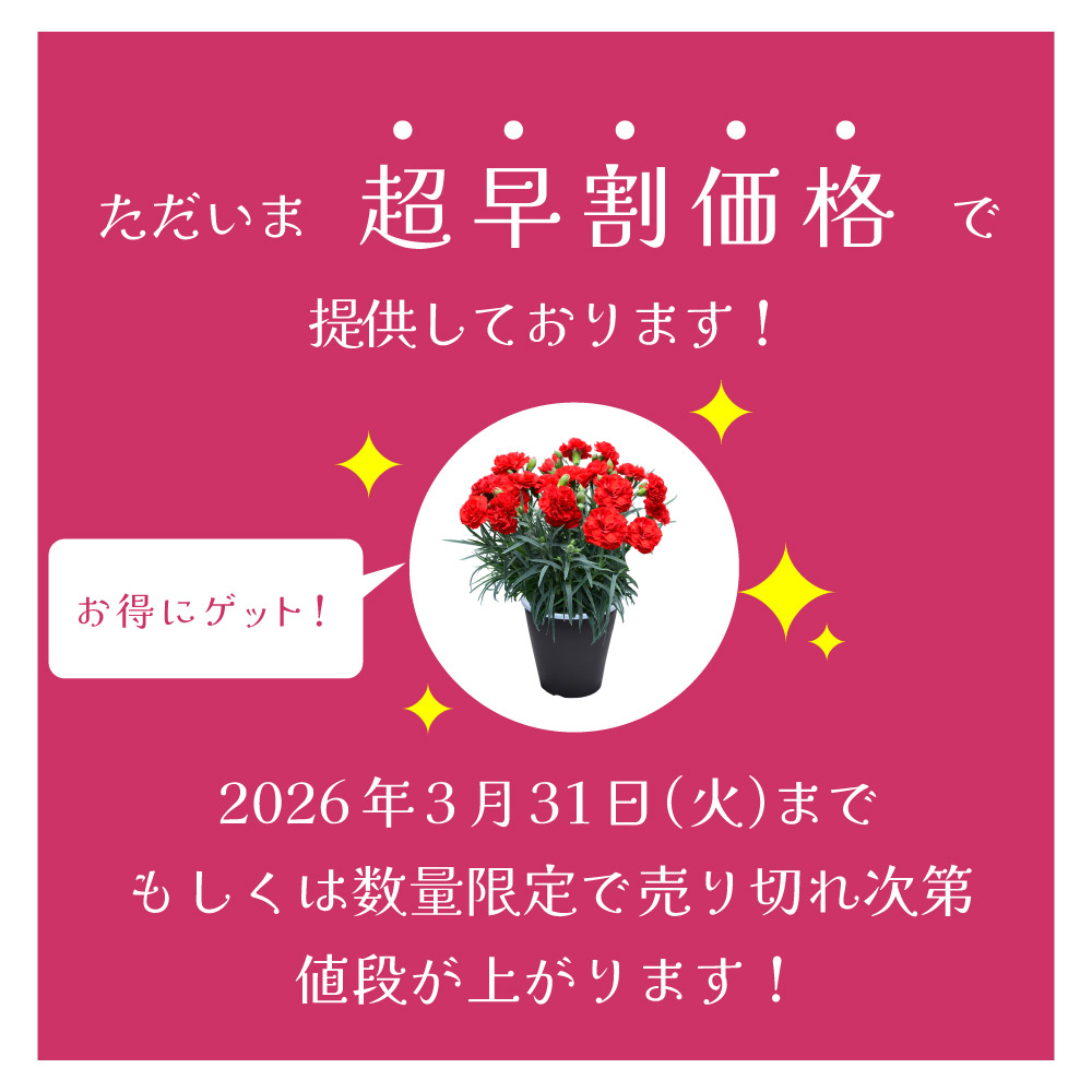 ��̓��J�[�l�[�V�����X�^���_�[�h25�F