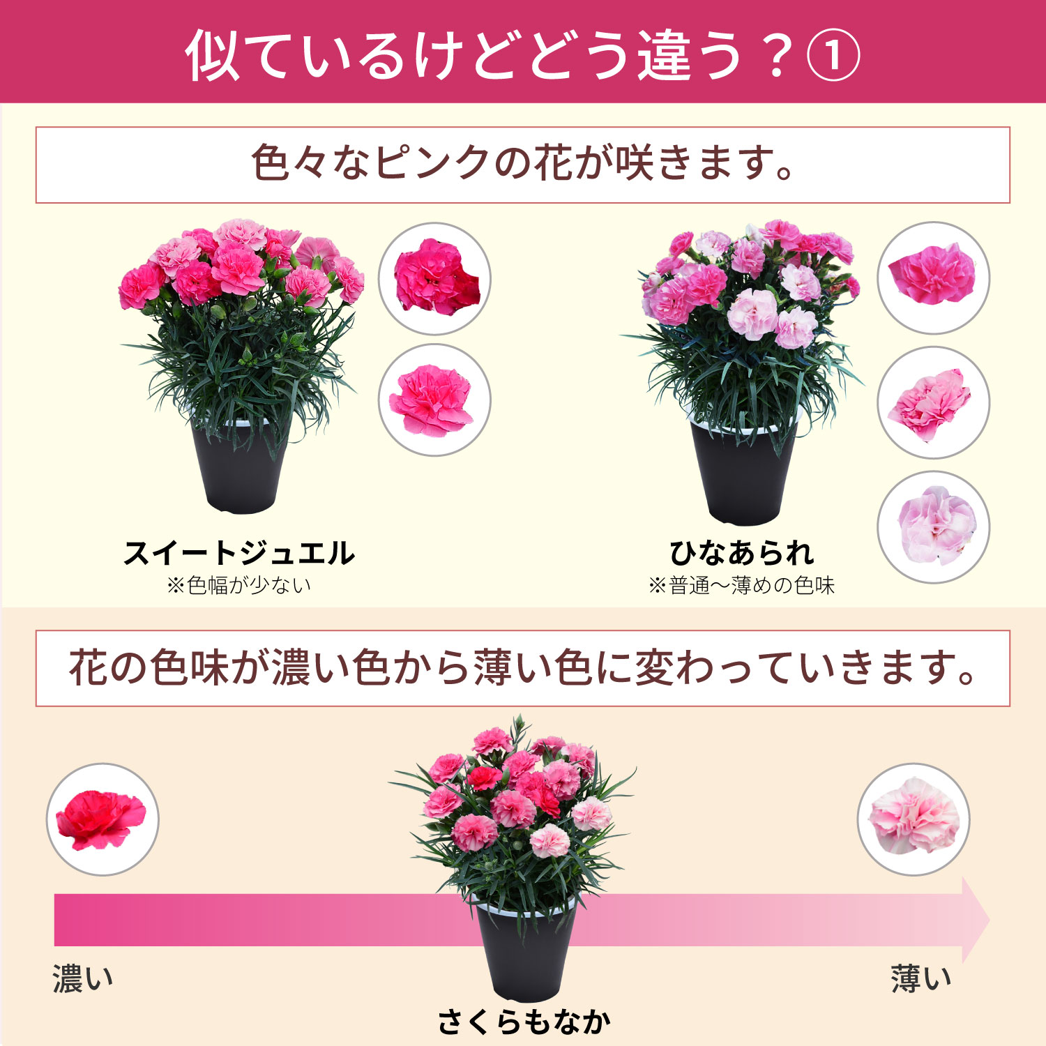 ��̓��J�[�l�[�V�����X�^���_�[�h25�F���C���i�b�v�F�̈Ⴂ1