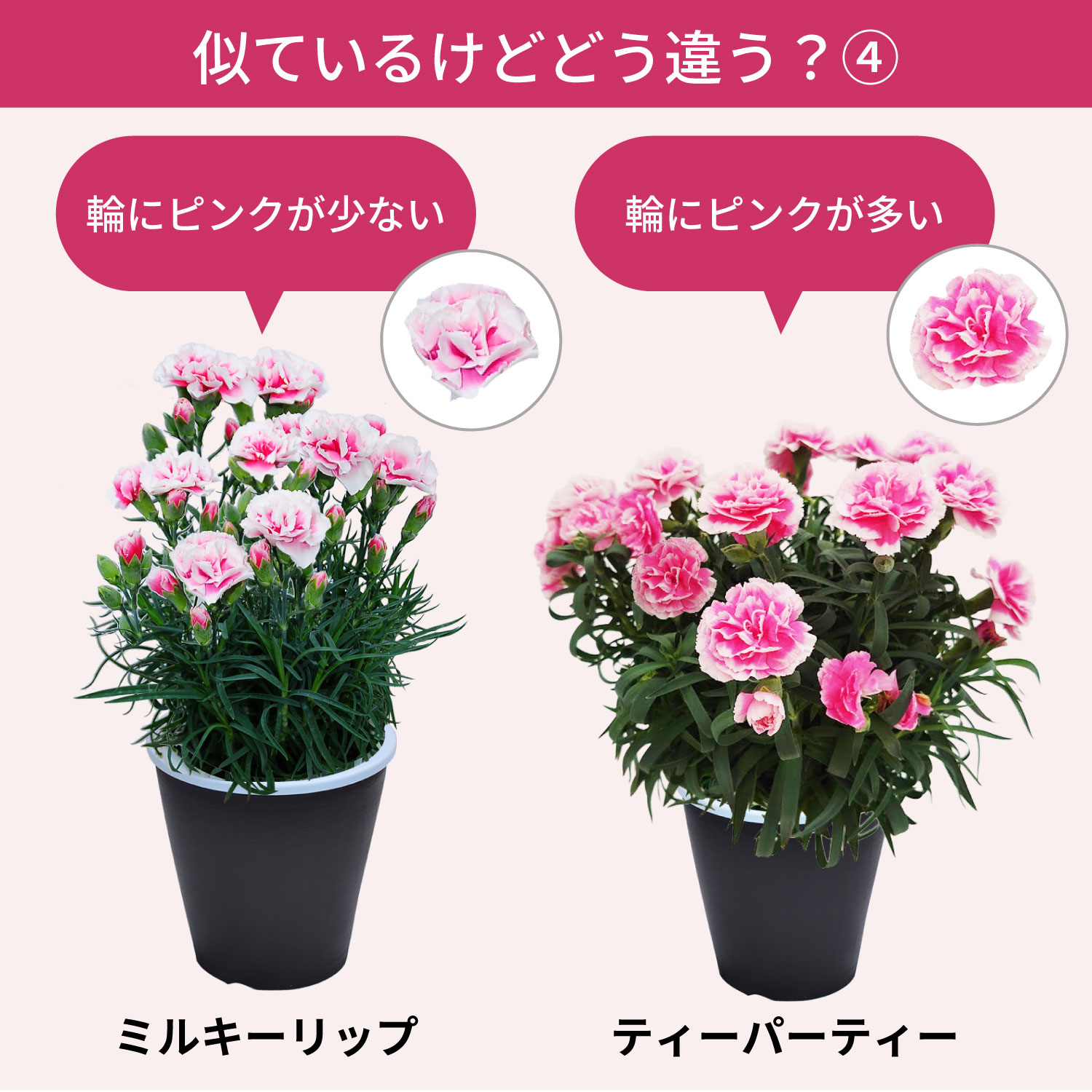 ��̓��J�[�l�[�V�����X�^���_�[�h25�F���C���i�b�v�F�̈Ⴂ4