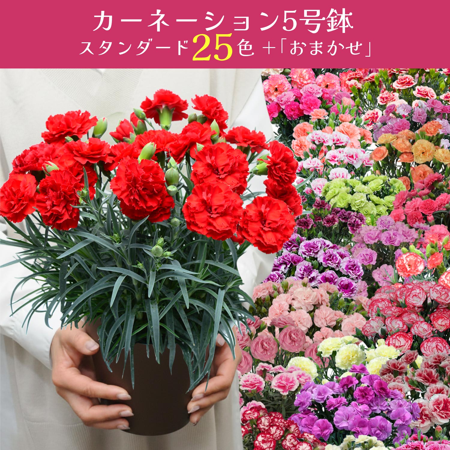 ��̓��J�[�l�[�V�����X�^���_�[�h25�F