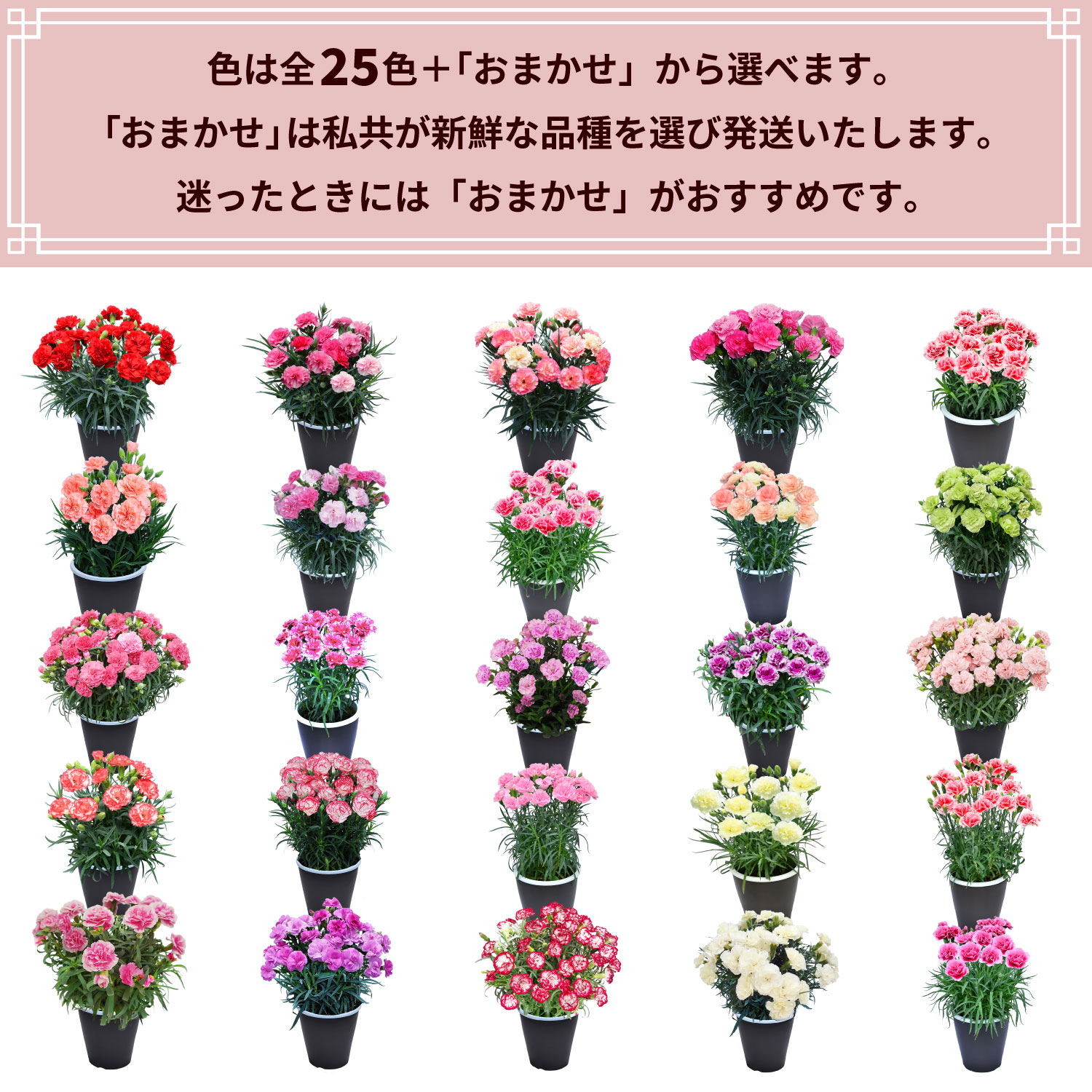 ��̓��J�[�l�[�V�����X�^���_�[�h25�F