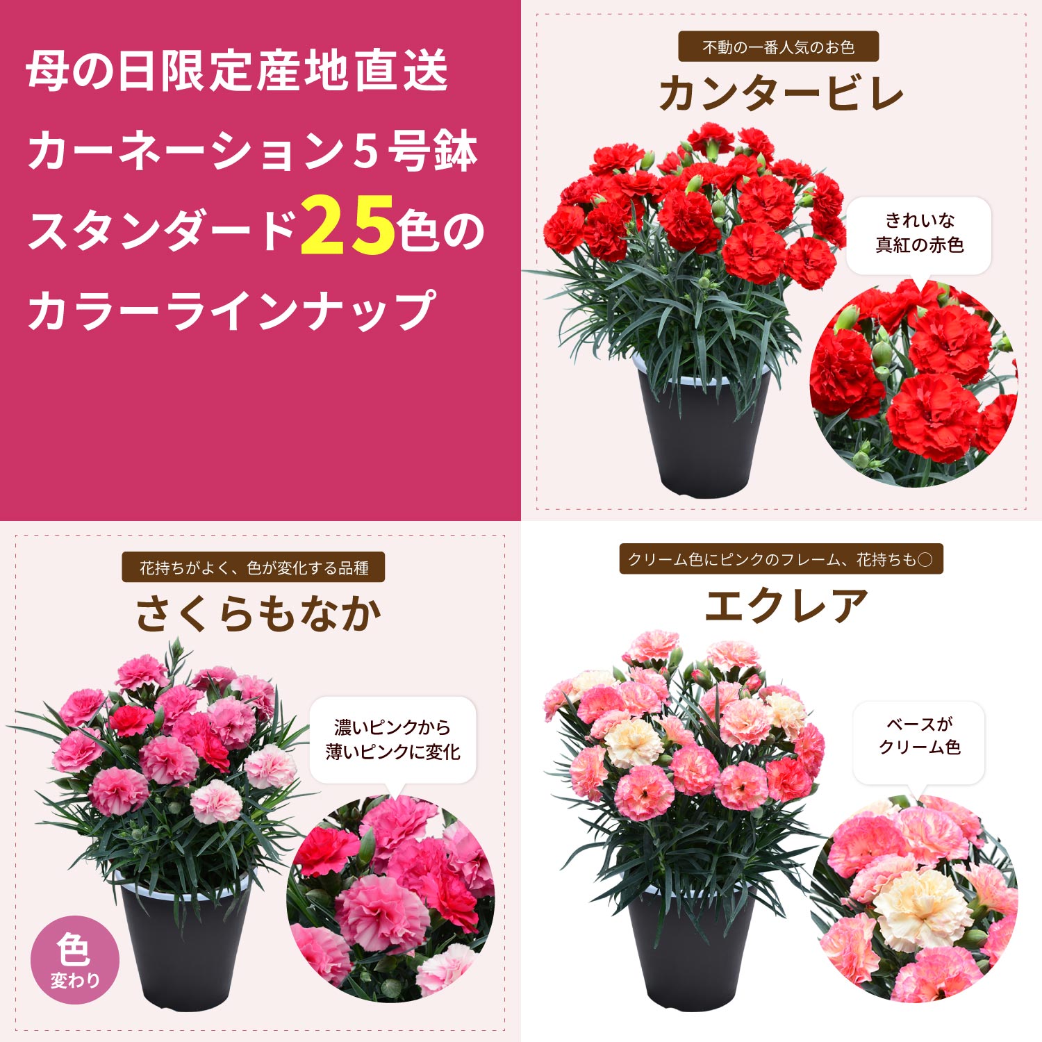 ��̓��J�[�l�[�V�����X�^���_�[�h25�F���C���i�b�v