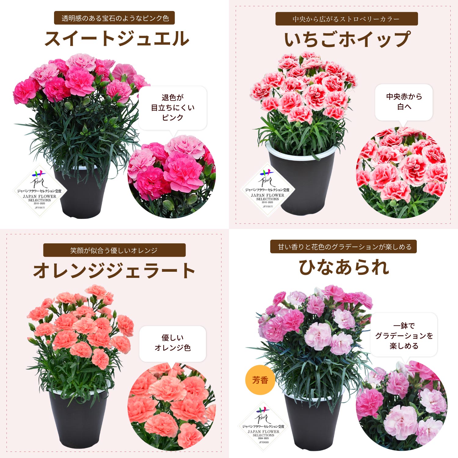��̓��J�[�l�[�V�����X�^���_�[�h25�F���C���i�b�v