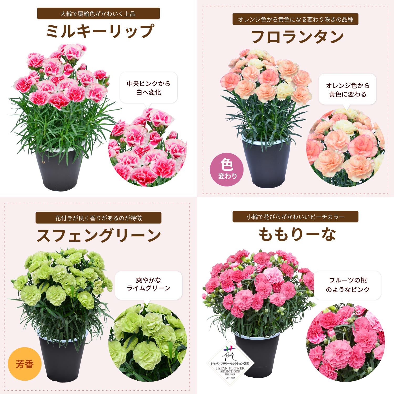 ��̓��J�[�l�[�V�����X�^���_�[�h25�F���C���i�b�v