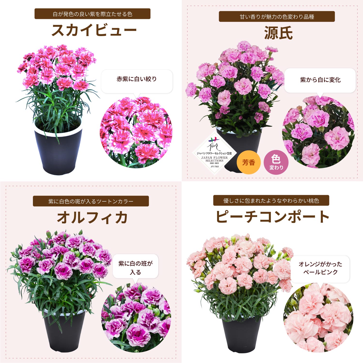 ��̓��J�[�l�[�V�����X�^���_�[�h25�F���C���i�b�v