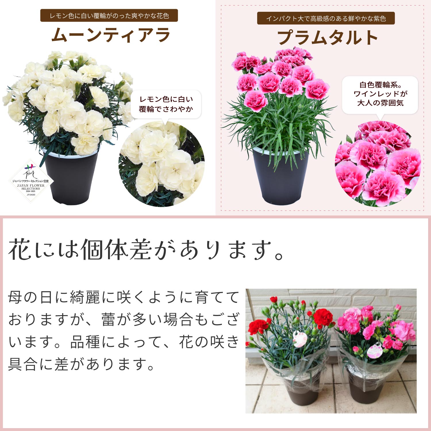 ��̓��J�[�l�[�V�����X�^���_�[�h25�F���C���i�b�v