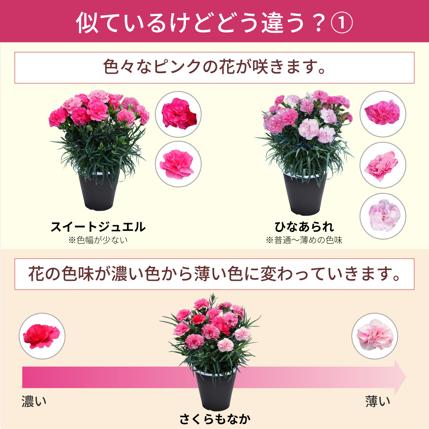 ��̓��J�[�l�[�V�����X�^���_�[�h25�F���C���i�b�v�F�̈Ⴂ1