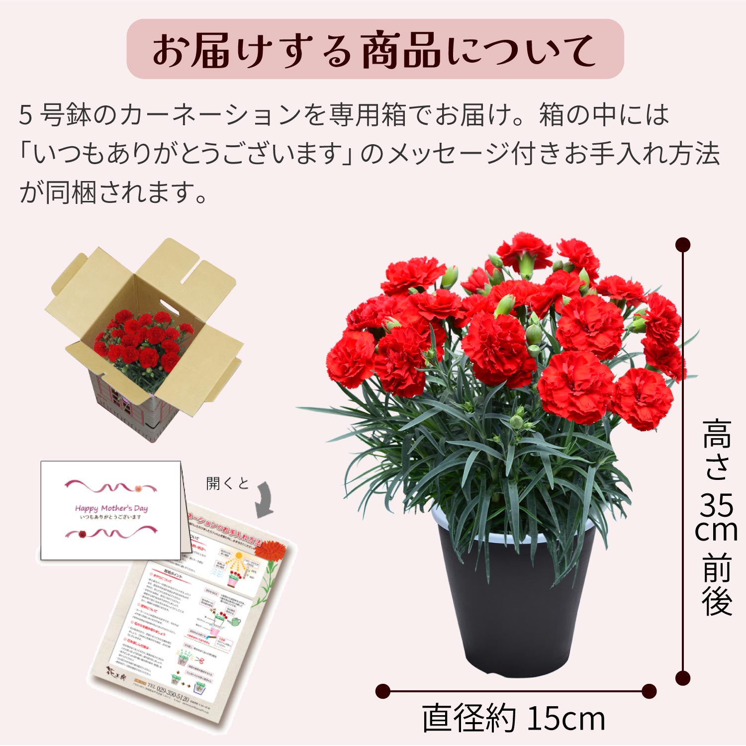 ��̓��J�[�l�[�V�����X�^���_�[�h25�F���͂����鏤�i�ɂ���