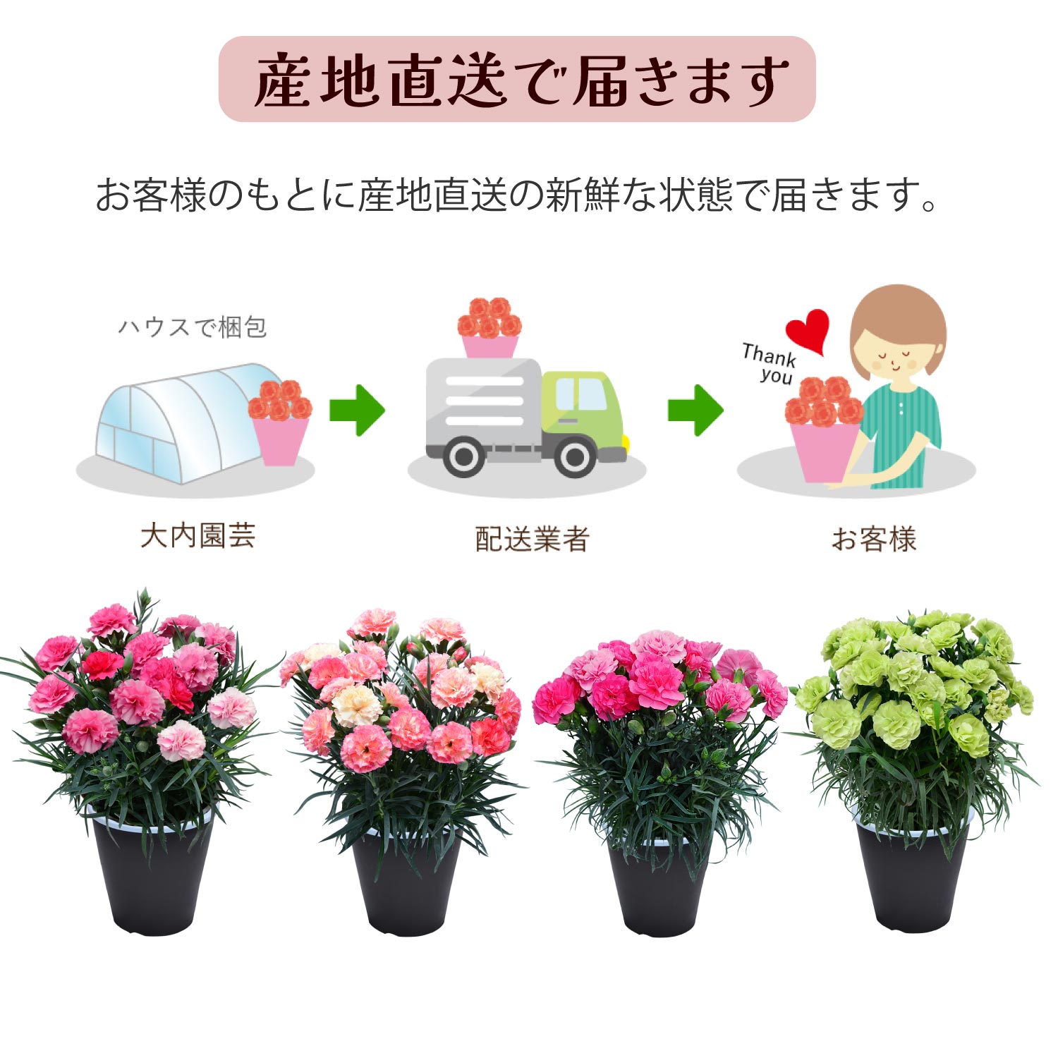 ��̓��J�[�l�[�V�����X�^���_�[�h25�F�Y�n�����œ͂��܂�