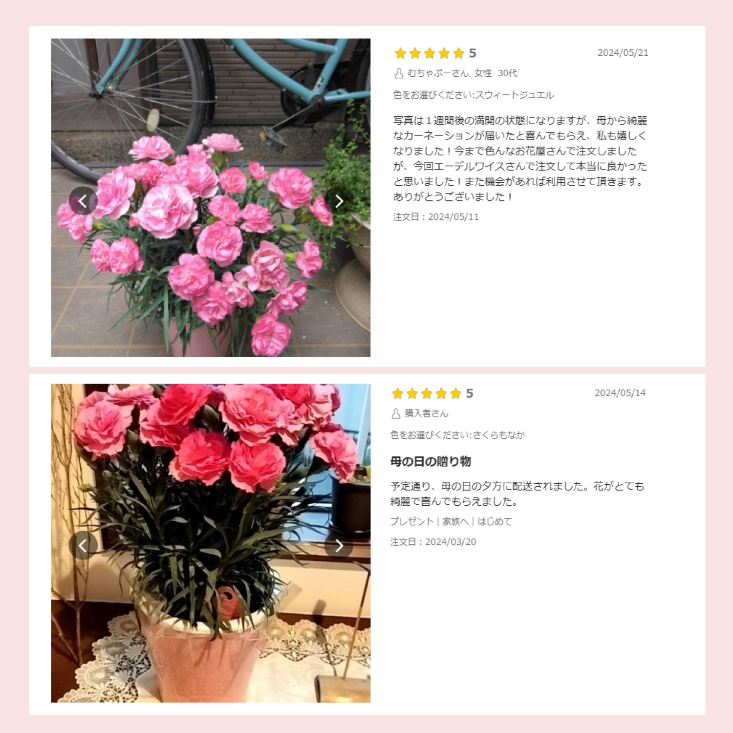 ��̓��J�[�l�[�V�����X�^���_�[�h25�F���r���[