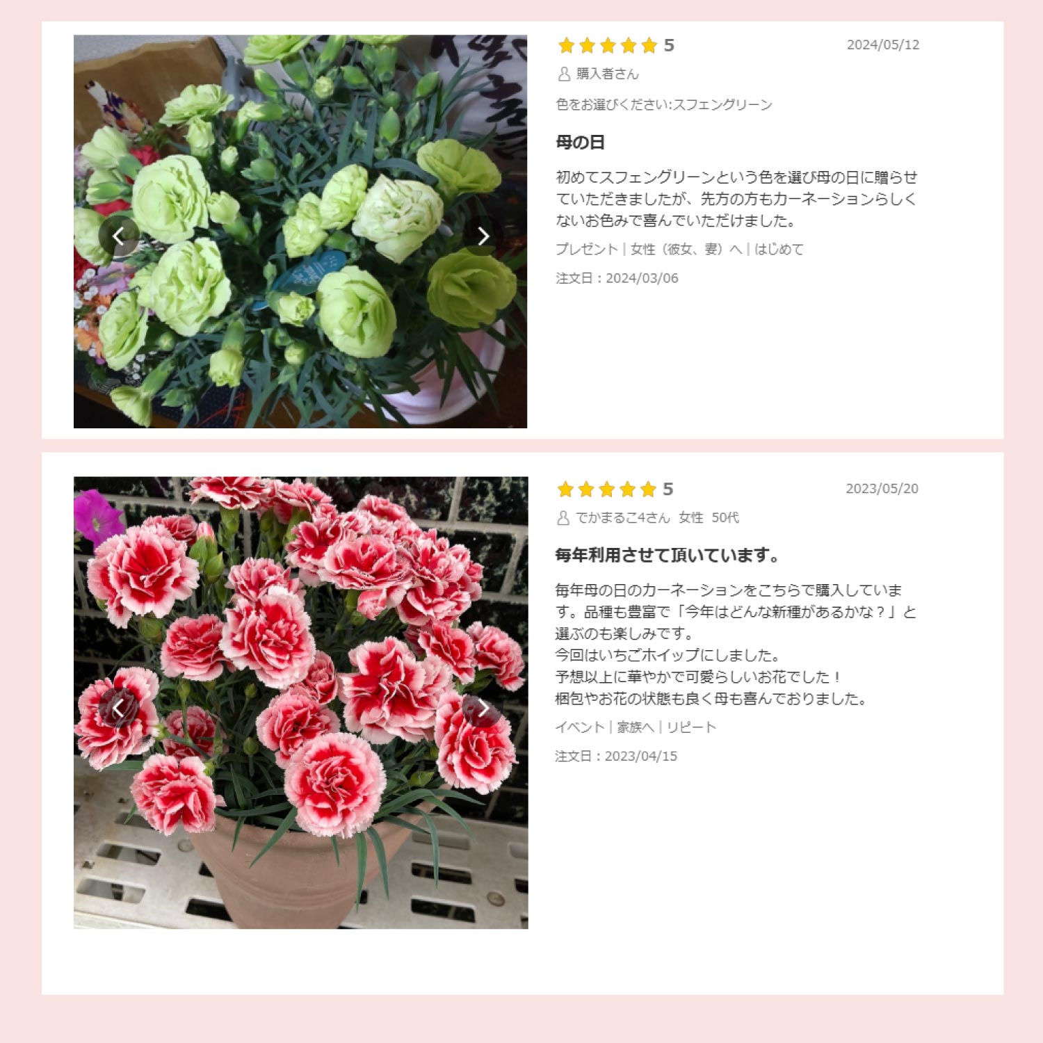 ��̓��J�[�l�[�V�����X�^���_�[�h25�F���r���[