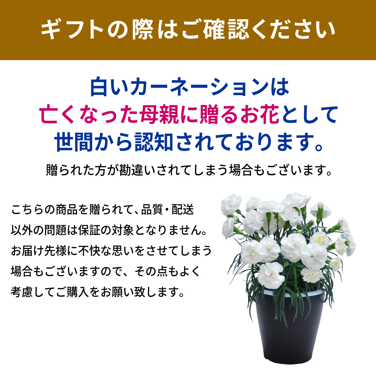 �M�t�g�̍ۂ͂��m�F��������
