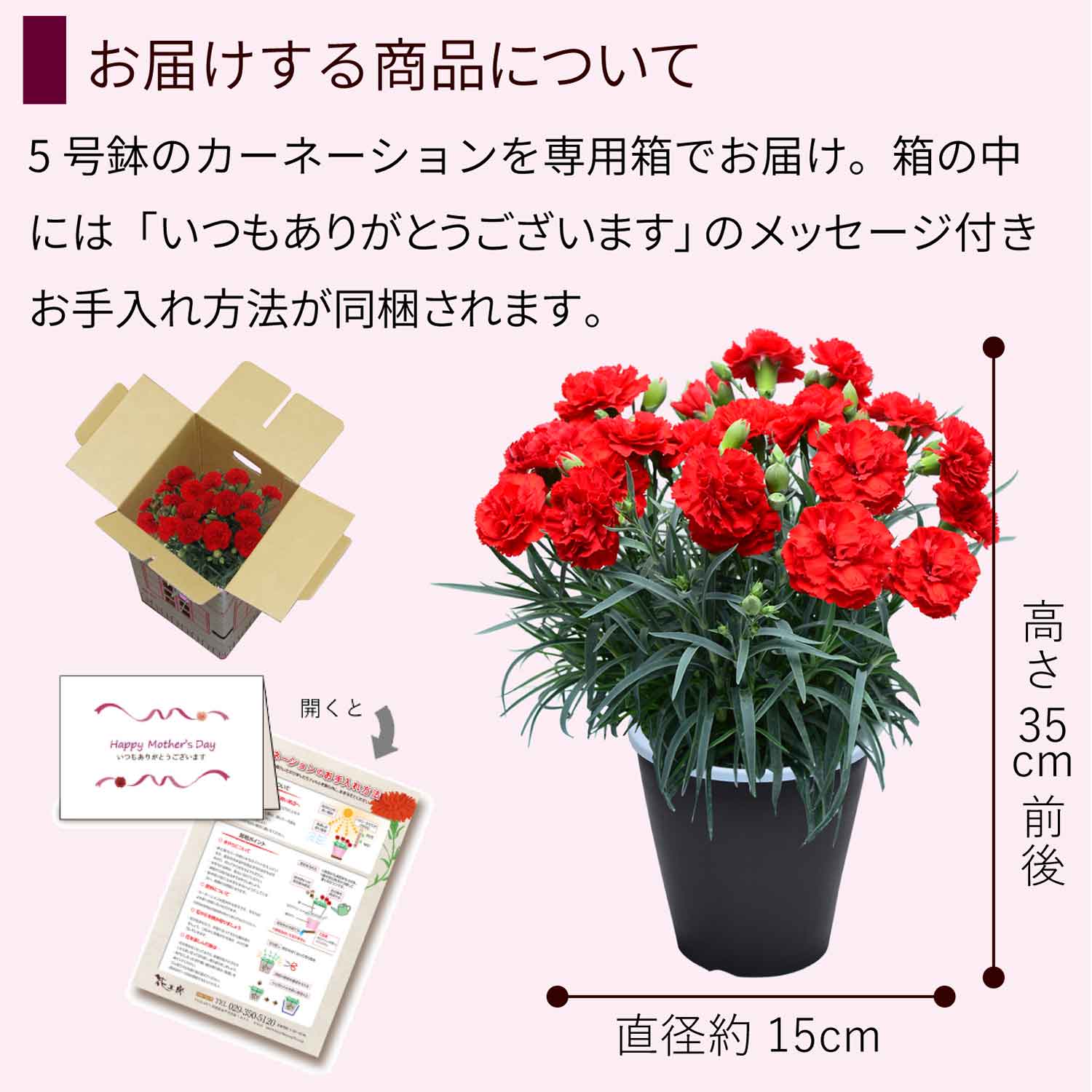 �J�[�l�[�V�����ɂ���