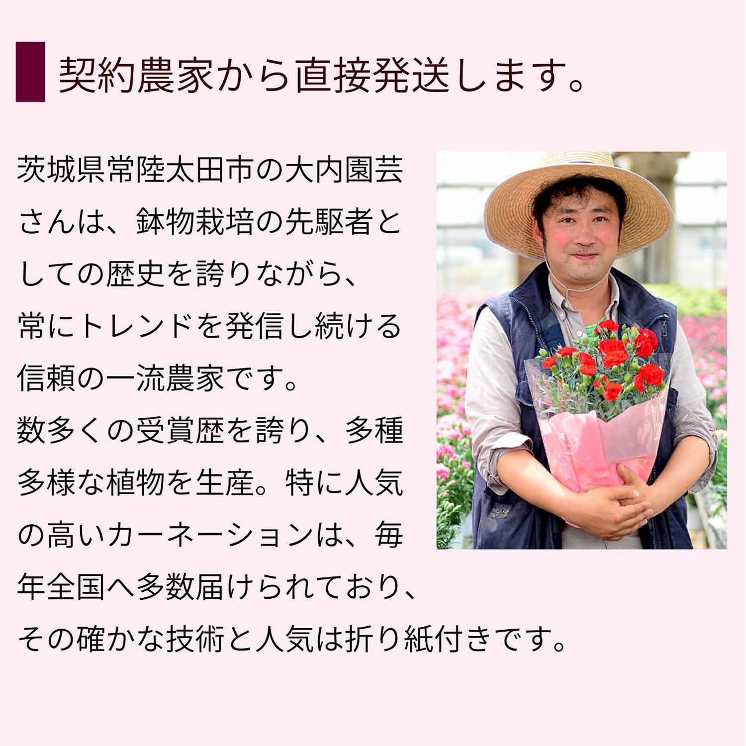 �J�[�l�[�V�����̐��Y��