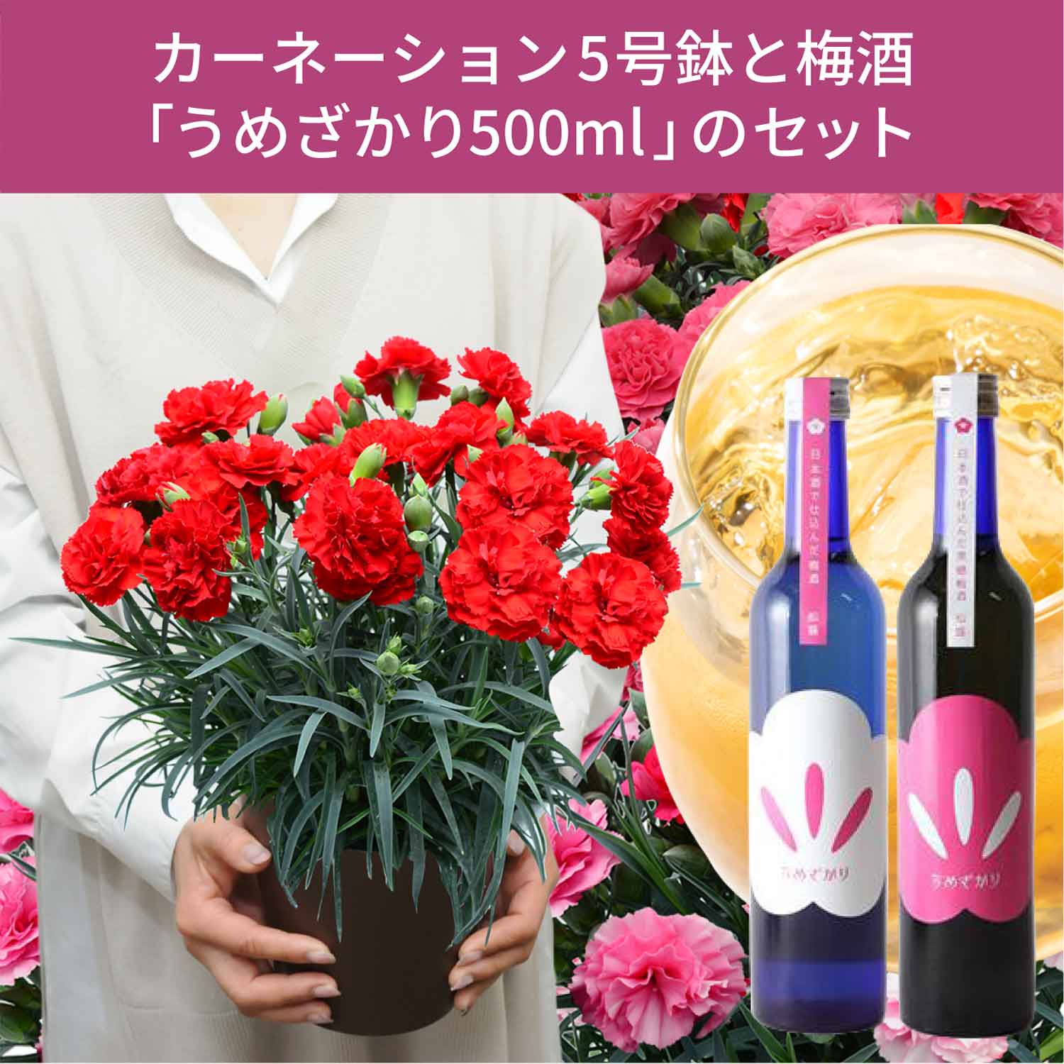 �J�[�l�[�V�����Ɣ~���̃Z�b�g