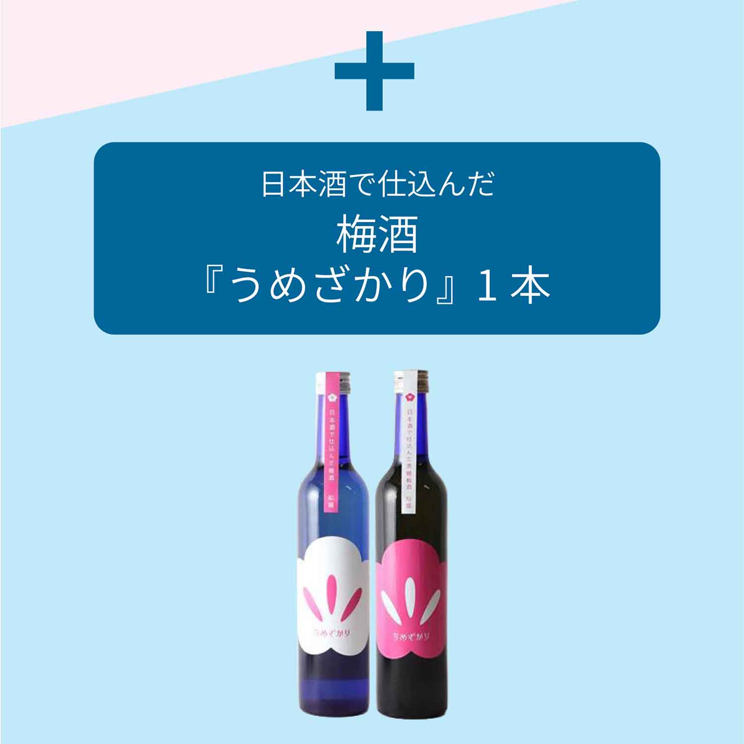 �J�[�l�[�V�����Ɣ~���̃Z�b�g