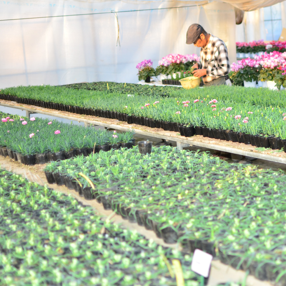 ���܂����V�N������5����