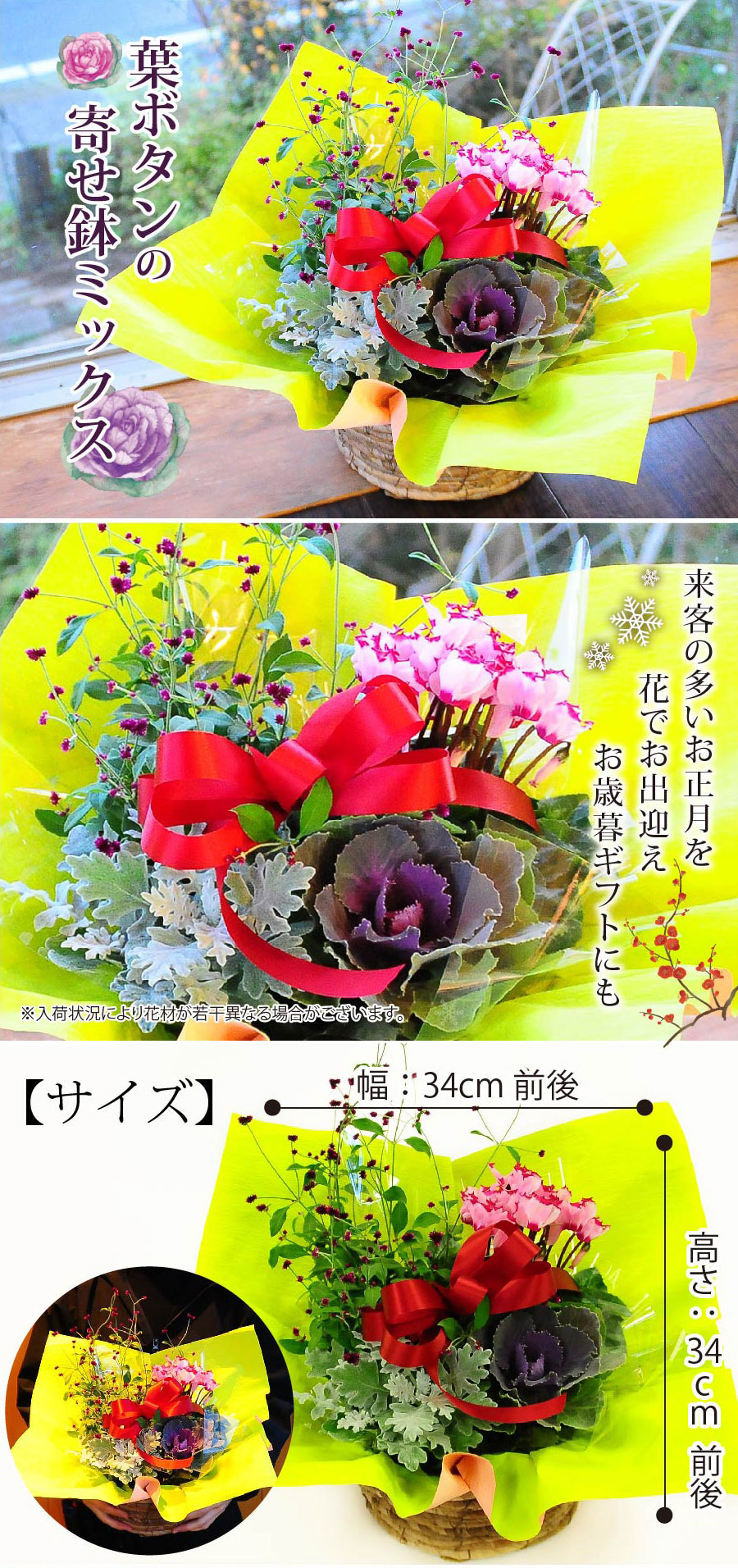 �t�{�^���̓������A���܂����񂹔��ł��B