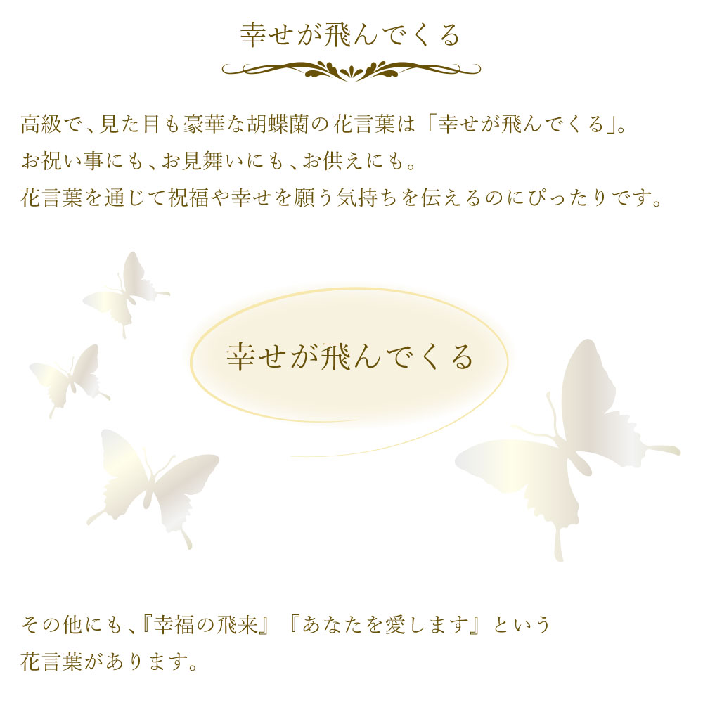 Ӓ2{