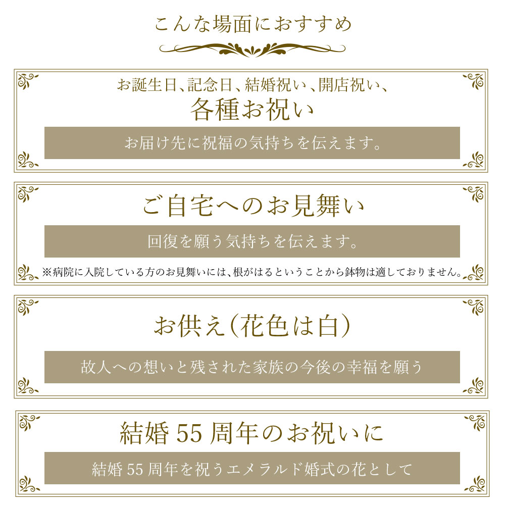 Ӓ2{