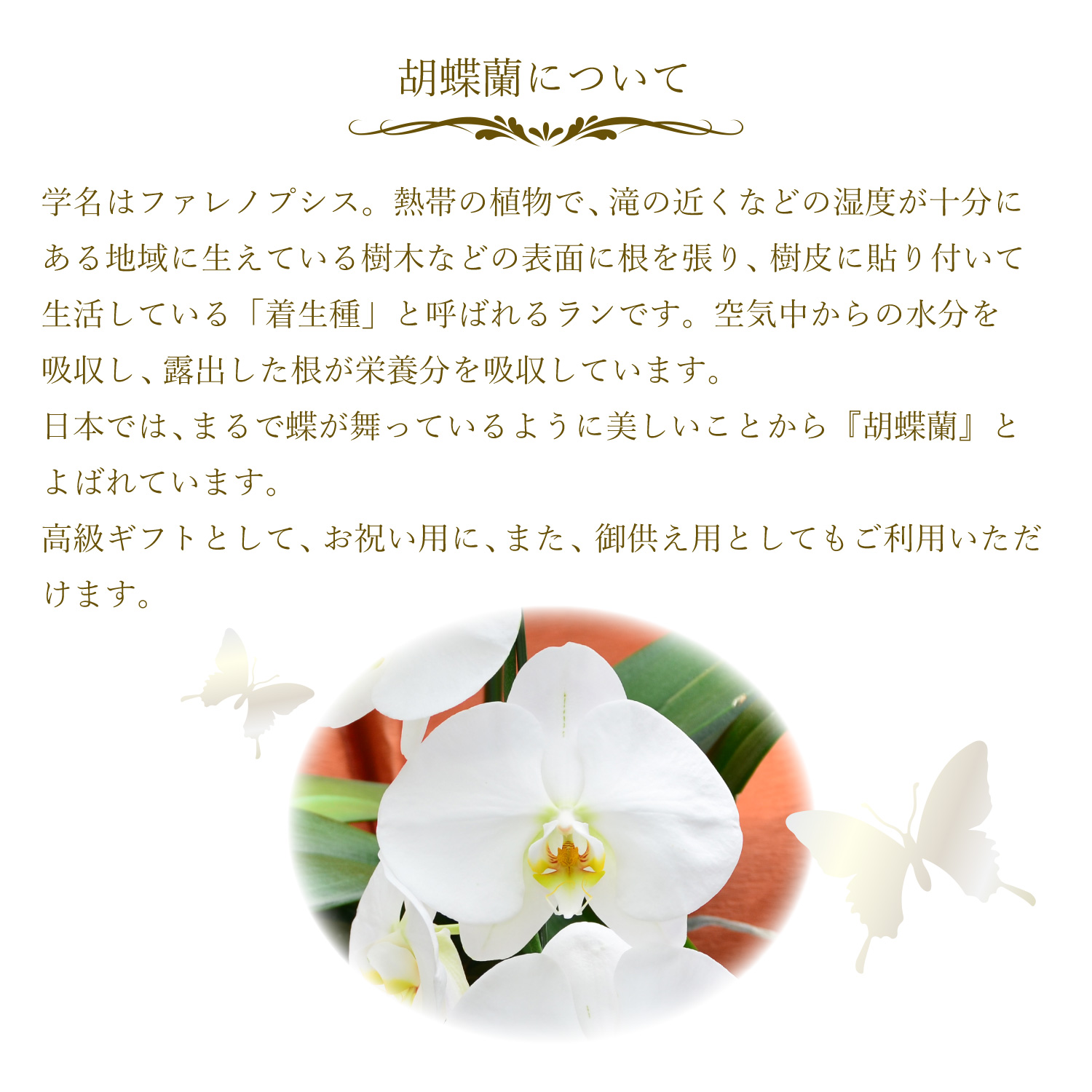 �Ӓ���3�{��35�ֈȏ�