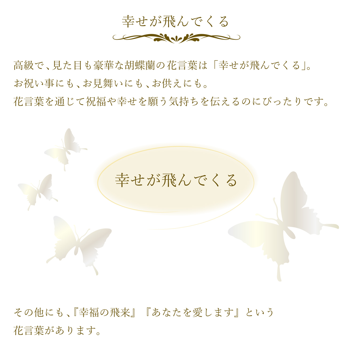 �Ӓ���3�{��35�ֈȏ�